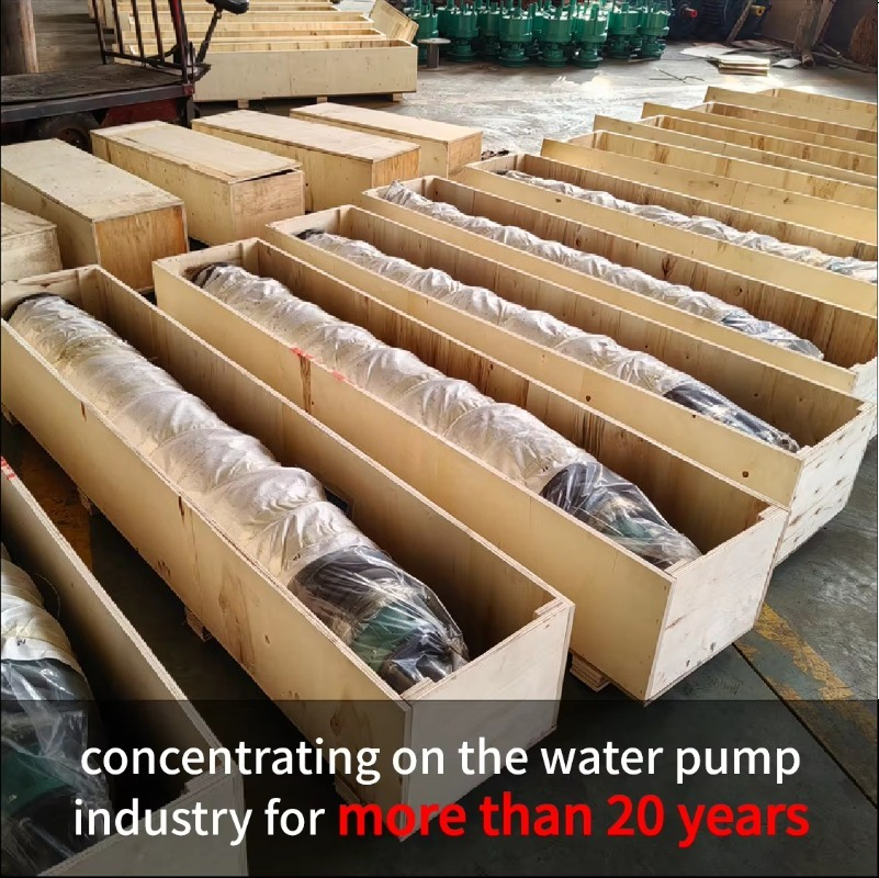 1.5inch 2inch 3inch 4inch 6inc - Water Pump Submersible のレビューと価格