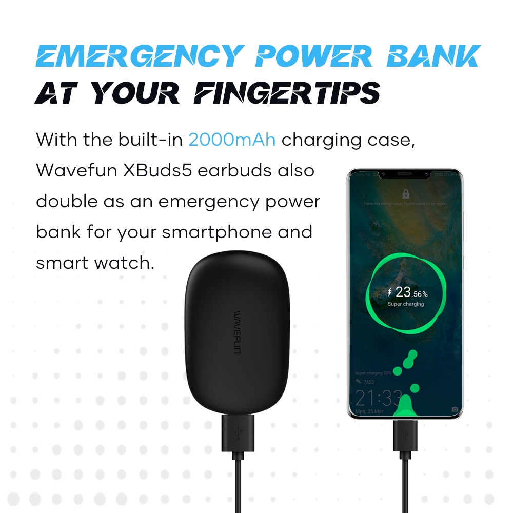 Wavefun XBuds 5 Bluetooth Earp - Outdoor Power Board Box のレビューと価格